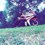 @matt_schumann - Instagram