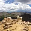 Matt Schweigert - @matt.schweigert - TikTok