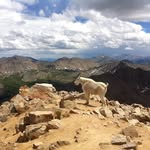 Matt Schweigert - @mattswope99 - Instagram