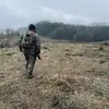 matthewseguin968 - @matthewseguin968 - TikTok