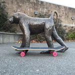 Matt Sellars - @caveman_skatetech - Instagram