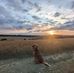 Matt Sewell - Facebook