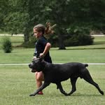 Matt Sewell - @praetoriankennels - Instagram