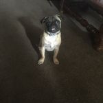 Matt Shafer - @matt_shafer - Instagram