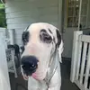 Matthew Shafer - @matt53647 - TikTok