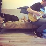 Matt Sharkey - @msharkey72 - Instagram
