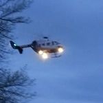 Matt Sharkey - @sharkeymatt - Instagram