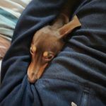 Matt Sharples - @matt.sharples - Instagram