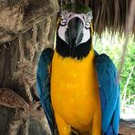 Matt Shirk - Facebook