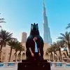 mattshirley24 - @mattshirley24 - TikTok