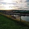 matt_shute16 - @matt_shute16 - TikTok