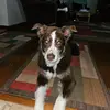 Matt Shuter - @matt.shuter - TikTok