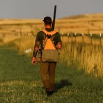 Matt Shutter - @oak.hill.birdogn - Instagram