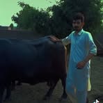 Mattiullah Chadar - Facebook
