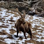 Matt Sieber - @matt.sieber - Instagram