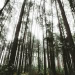 mattsiebert_ - @mattsie_bert_ - Instagram