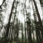 mattsiebert_ - @matt._siebert_ - Instagram