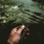 mattsiebert_ - @mattsieber_t_ - Instagram