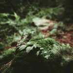 mattsiebert_ - @ma.ttsieber_t_ - Instagram