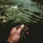 mattsiebert_ - @mattsiebert_077 - Instagram