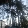 Matti Juhani Sohlstr - @mattijuhanisohlst - TikTok