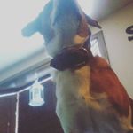 matt spalding - @mattsp9907 - Instagram