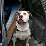 Matt Spalding - @spaldingmatt - Instagram