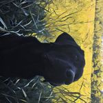 Matt Spindler - @drmkspindler - Instagram