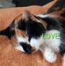 Mattes Spindler - Facebook