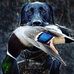 Matthew Spindler - Facebook