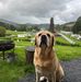 Matt Stacey - Facebook