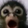 Idk - @matt_start - TikTok