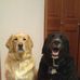 Matt Steffes - Facebook