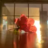 Matt Strasser - @makaio.art - TikTok