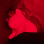 Matt Stratton - @mattstratton06 - Instagram