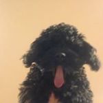 Matt Strickler - @mattstrickler - Instagram
