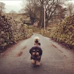 Matthew Stroh - @matt_stroh - Instagram