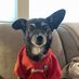 Matt Swartz - Facebook