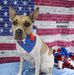 Matt Sweitzer - Facebook