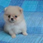 Matthew Tanaka - @tanaka_matthew - Instagram