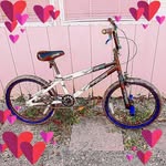 Matt Teal - @tealmatt27521 - Instagram