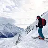 Matt Testa - @matt.testa - TikTok