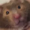 matt343live - @matttestaccount0 - TikTok
