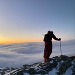 Matt Testa - @mtesta7425 - Instagram