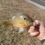 Matthew Timberlake - @bassmaster_420 - Instagram
