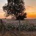 Matt Tolbert - Facebook
