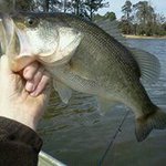 Matt Tolbert - @matttolbert9 - Instagram