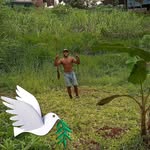 Matt Tomua - @matttomua - Instagram