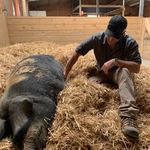 Matt Tomlin - @matttomlin373 - Instagram