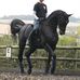 Matt Jenkins Dressage rider and trainer - Facebook